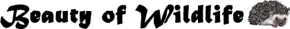 Resource Hub