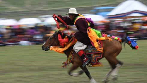 Sichuan Litang Horse Racing Festival 