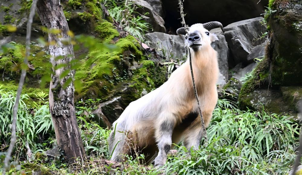 Ark of Biodiversity · Awakening Young Scientists