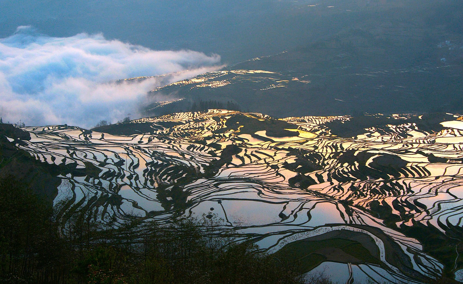 元阳梯田.jpg
