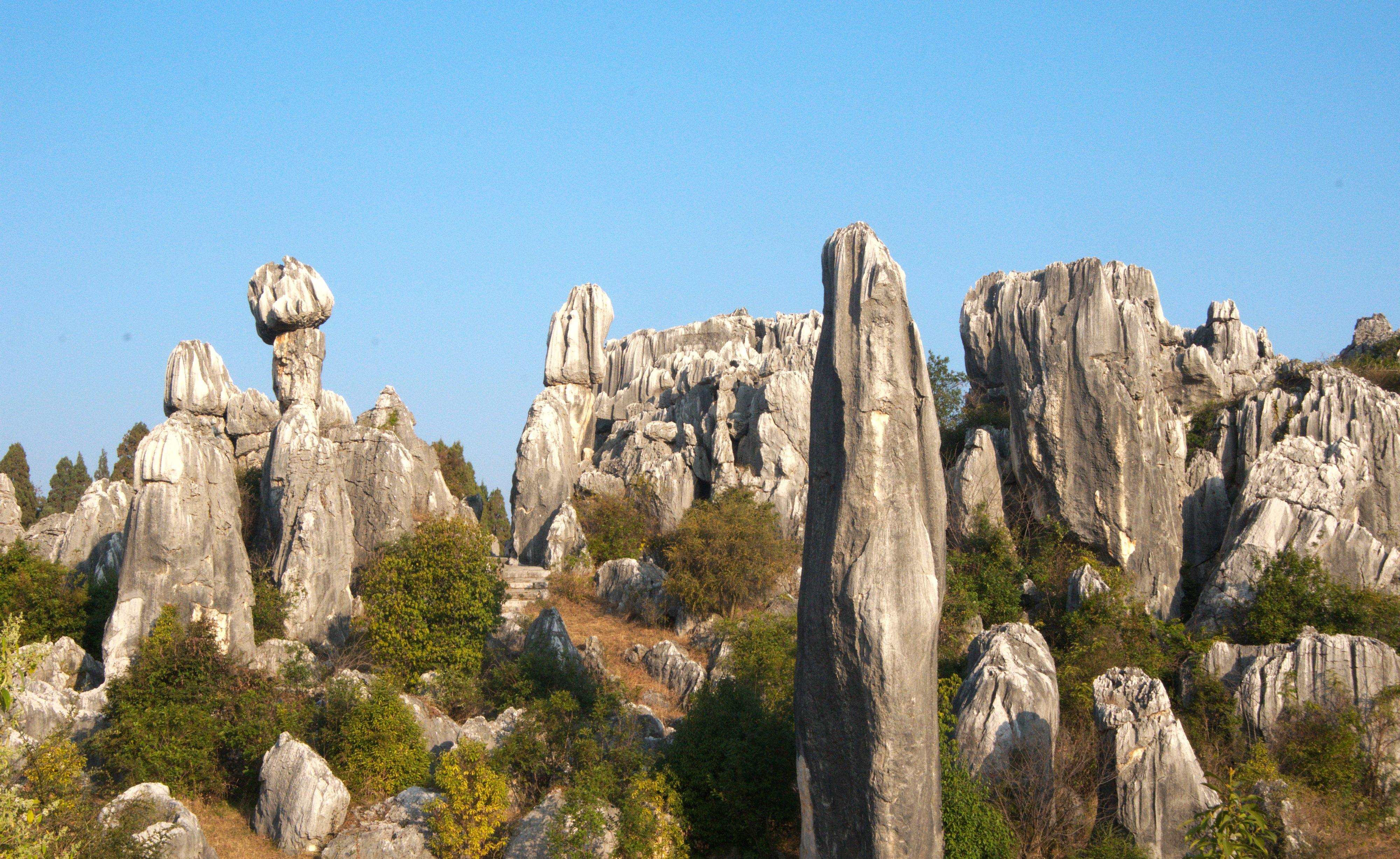 Rainforest & Karst