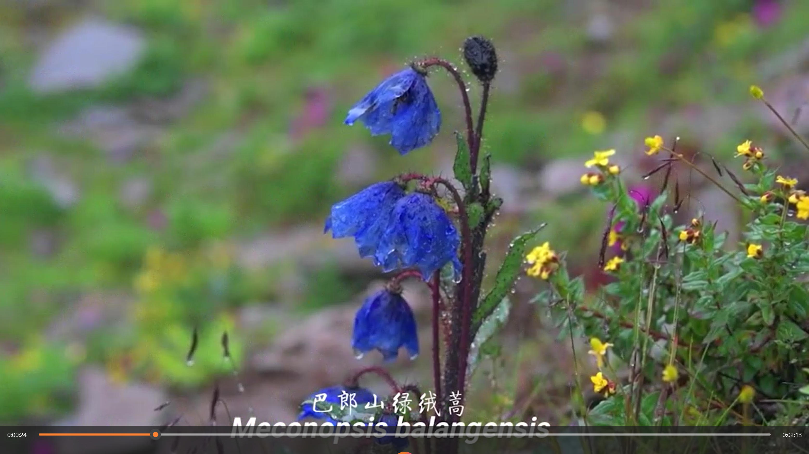 微信图片_2026-05-14_203615_404.jpg