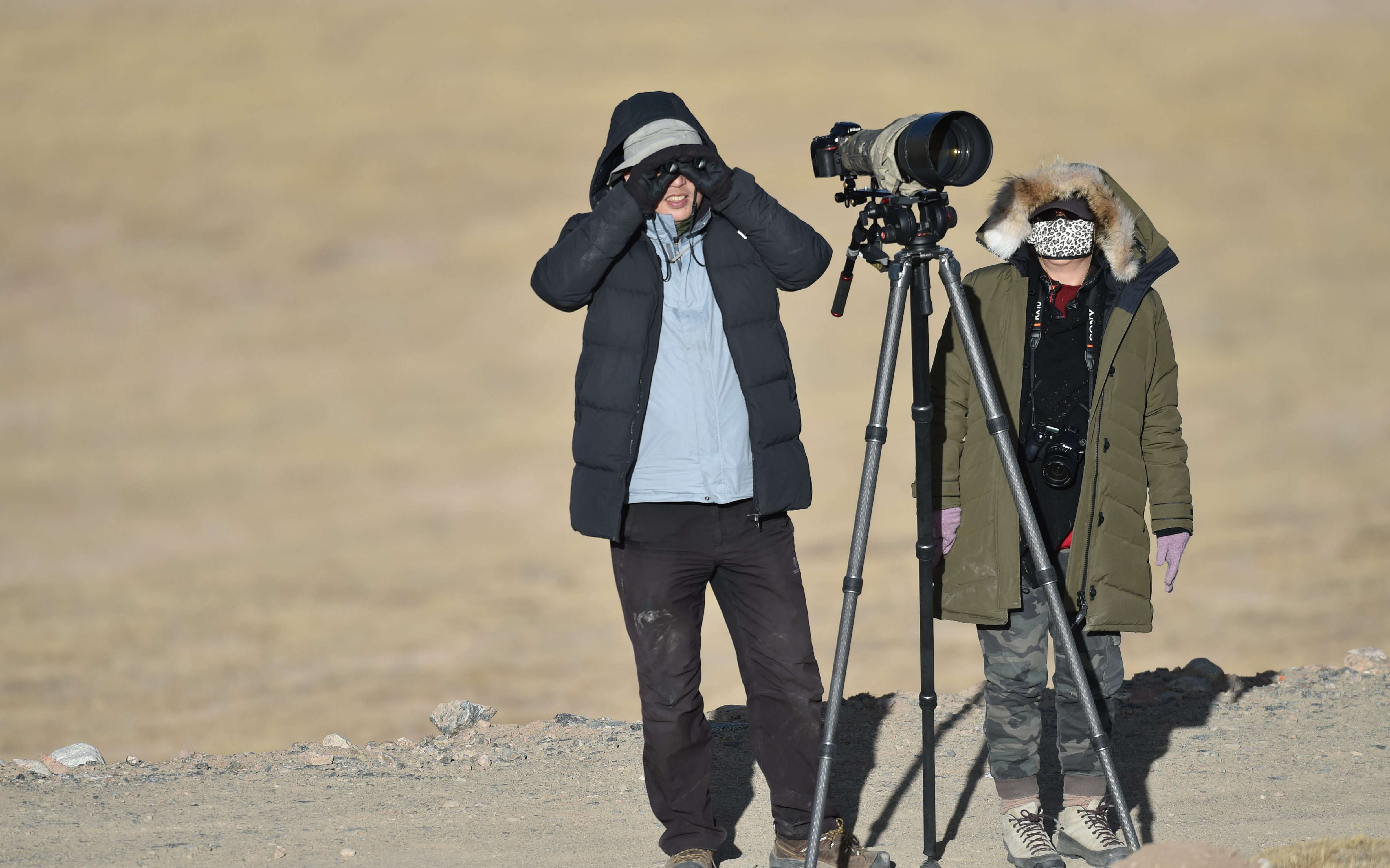 Wildlife trackers using spotting scope and telephoto camera for snow leopard tracking on Qinghai-Tibet Plateau