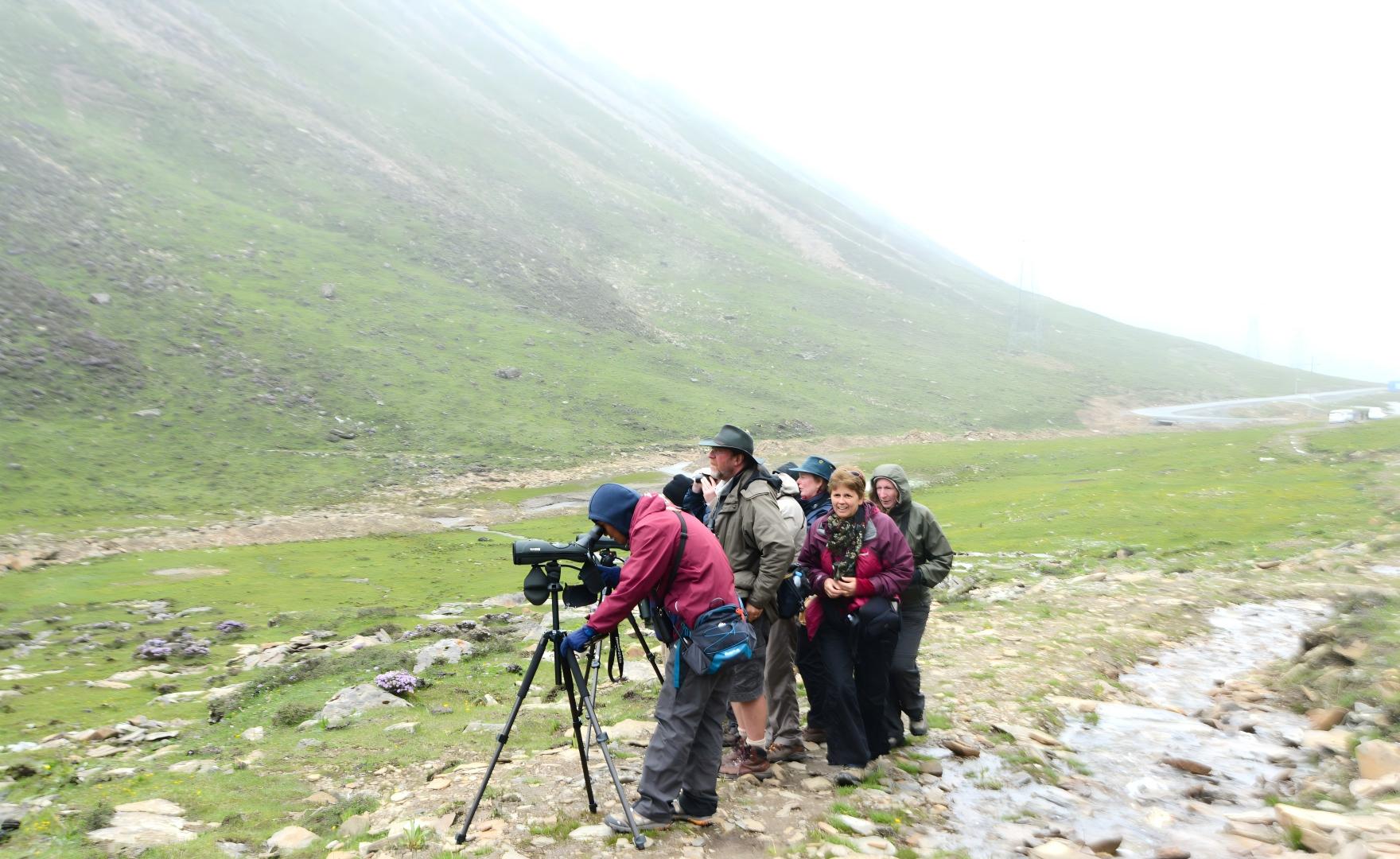 DSC_4183 客人观鸟.jpg